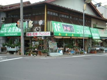 「小島生花店」　（青森県三戸郡三戸町）の花屋店舗写真1